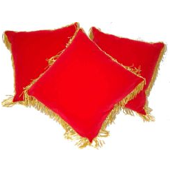 Coussin velours