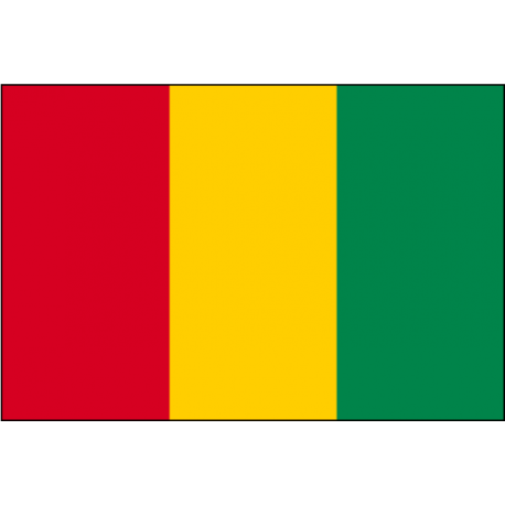 Drapeau De Guinée Sur Fond Blanc Avec Espace Vide à Gauche Rendu 3d Isolé