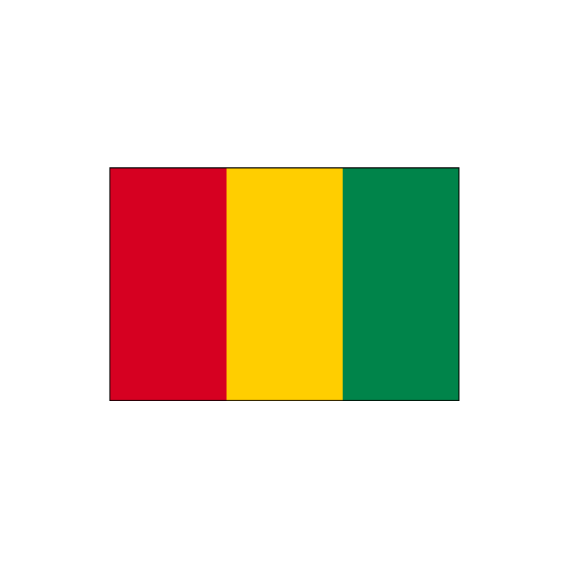 Guinée Afrique Conakry drapeau drapeau drapeau' T-shirt Homme