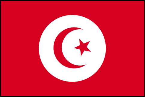 Drapeau Tunisie - Drapazur