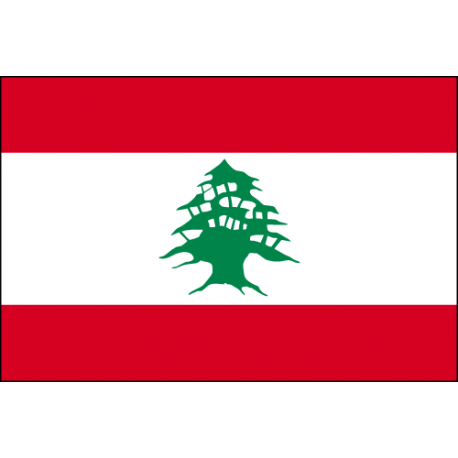 le liban drapeau
